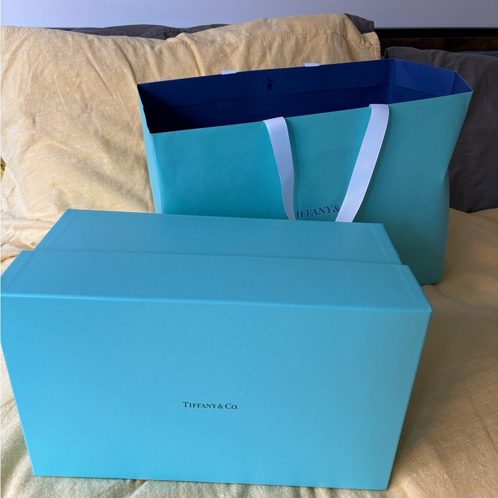 Tiffany & Co. Large Blue Gift Box and Bag Set